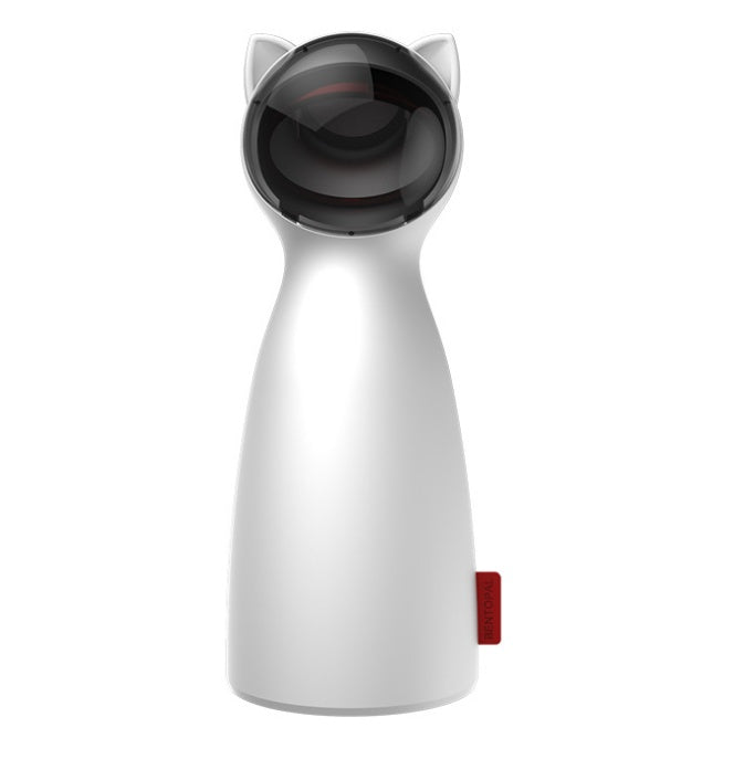Automatic cat exercise and training toy
